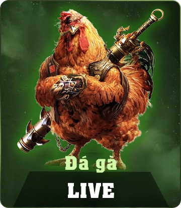 hbbet da ga